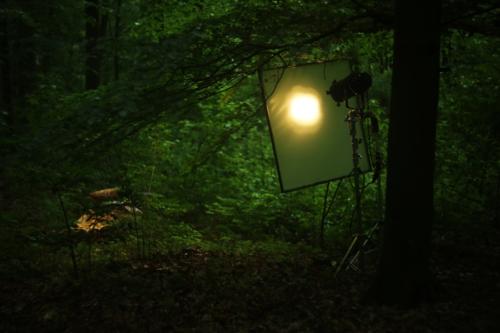 lokalna wytwornia filmow 010